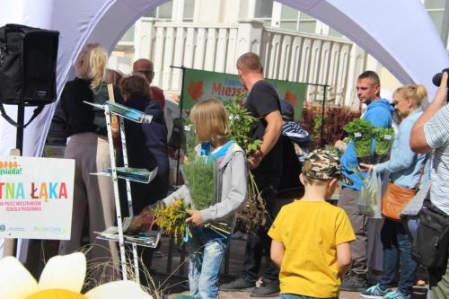 img-1379-copy Tarnowski Dzień Miejskiego Ogrodnika