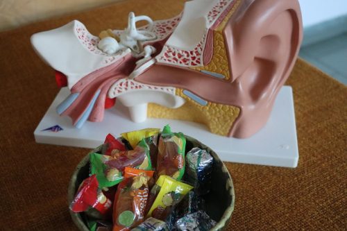 15 Pierwsze Tarnowskie Targi Integracyjne 2026 – wsparcie dla dzieci z niepełnosprawnościami i ich rodzin