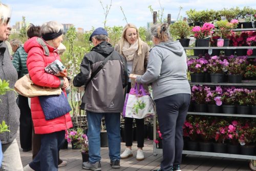 0-copy Sadzonki za elektroodpady