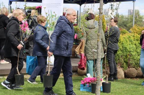 00-copy Sadzonki za elektroodpady