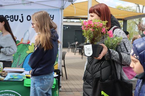 000-copy Sadzonki za elektroodpady