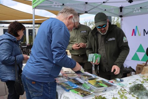 1-copy Sadzonki za elektroodpady