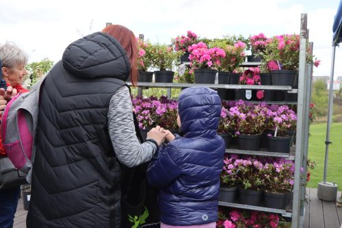 12-copy Sadzonki za elektroodpady