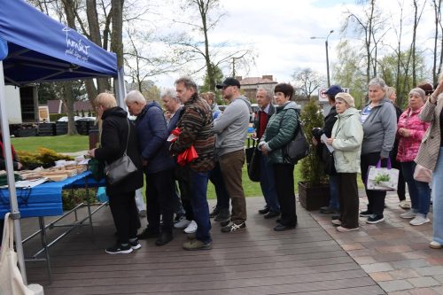 13-copy Sadzonki za elektroodpady