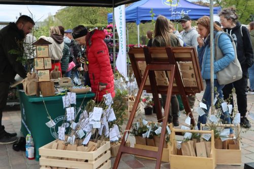 1a-copy Sadzonki za elektroodpady