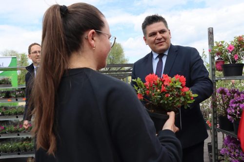 1b-copy Sadzonki za elektroodpady