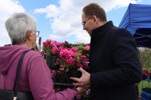 5-copy Sadzonki za elektroodpady