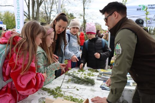 5a-copy Sadzonki za elektroodpady