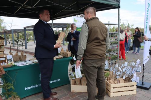 7-copy Sadzonki za elektroodpady