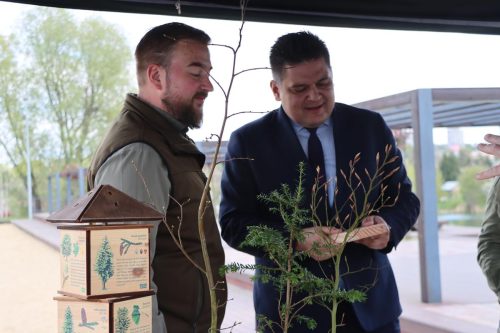 8-copy Sadzonki za elektroodpady