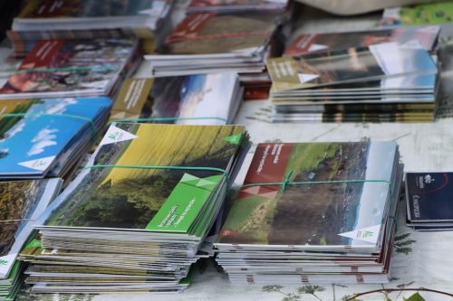 img-8218-copy Sadzonki za elektroodpady