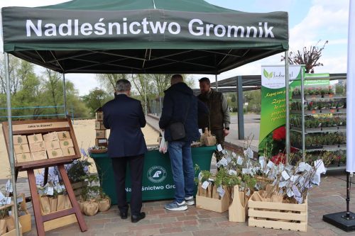 img-8225-copy Sadzonki za elektroodpady