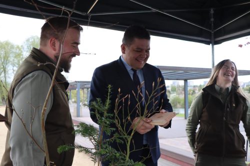 img-8236-copy Sadzonki za elektroodpady