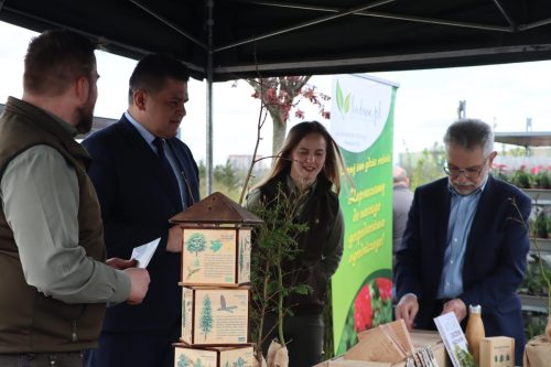 img-8244-copy Sadzonki za elektroodpady