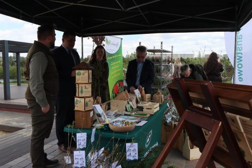 img-8245-copy Sadzonki za elektroodpady