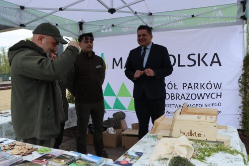 img-8257-copy Sadzonki za elektroodpady