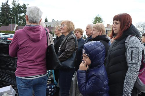 img-8270-copy Sadzonki za elektroodpady