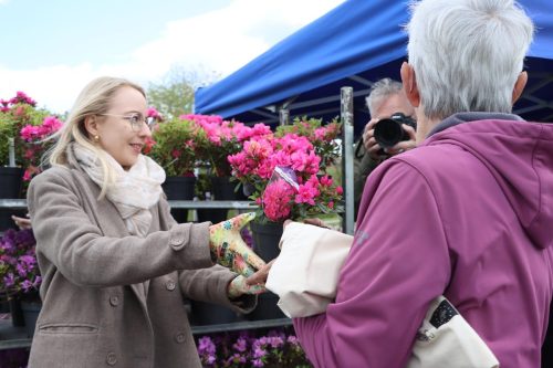 img-8290-copy Sadzonki za elektroodpady