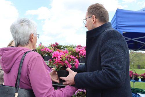 img-8294-copy Sadzonki za elektroodpady