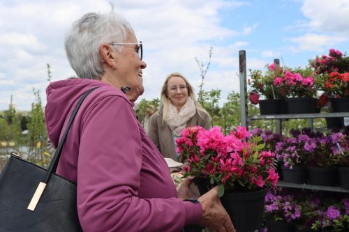 img-8299-copy Sadzonki za elektroodpady