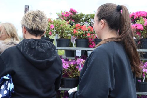 img-8309-copy Sadzonki za elektroodpady