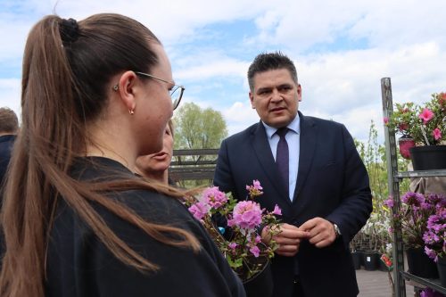 img-8312-copy Sadzonki za elektroodpady