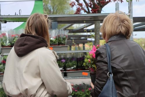 img-8322-copy Sadzonki za elektroodpady