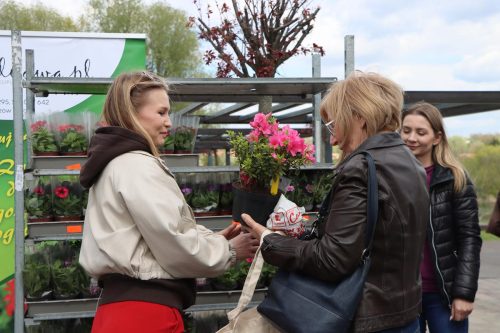 img-8326-copy Sadzonki za elektroodpady