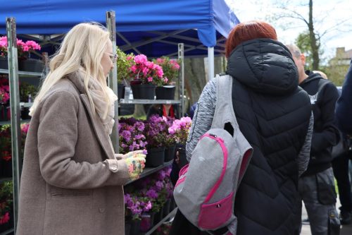 img-8331-copy Sadzonki za elektroodpady