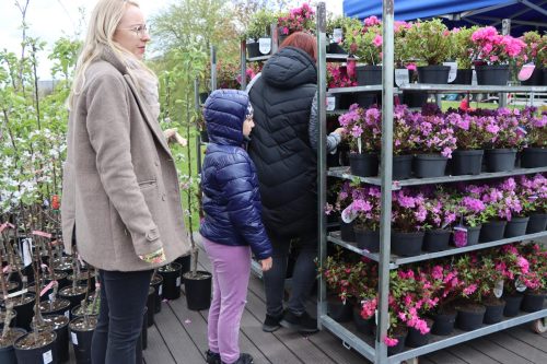 img-8336-copy Sadzonki za elektroodpady