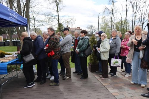 img-8340-copy Sadzonki za elektroodpady