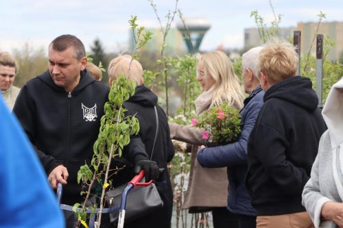 img-8347-copy Sadzonki za elektroodpady