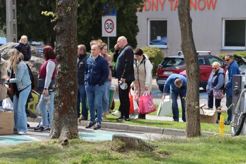 img-8357-copy Sadzonki za elektroodpady