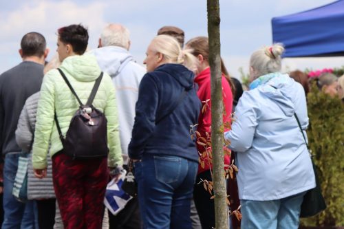 img-8365-copy Sadzonki za elektroodpady