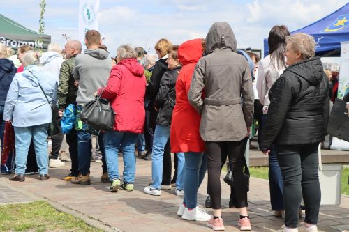 img-8367-copy Sadzonki za elektroodpady