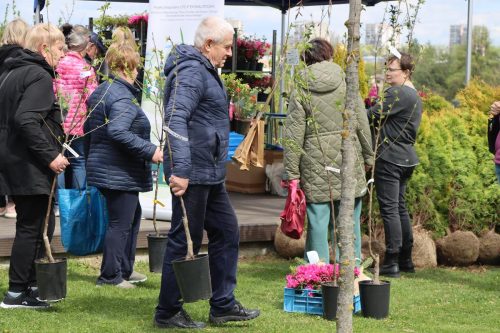 img-8374-copy Sadzonki za elektroodpady