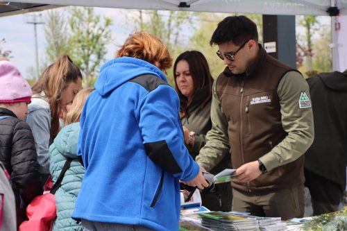 img-8383-copy Sadzonki za elektroodpady