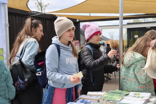 img-8388-copy Sadzonki za elektroodpady