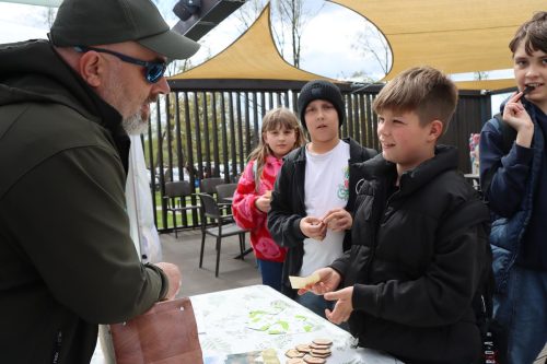 img-8390-copy Sadzonki za elektroodpady