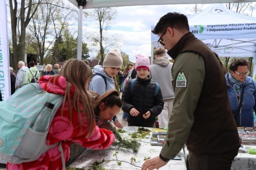 img-8399-copy Sadzonki za elektroodpady