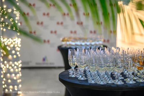 gala-30-copy Wielka Noworoczna Gala Wiedeńska - Johann Strauss i Przyjaciele w CSM