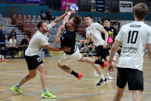 3c-copy-copy Handball Pałac Tarnów vs SPR Grunwald Ruda Śląska