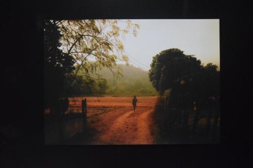 dsc-3059-copy Wystawa fotografii Heleny Kołton