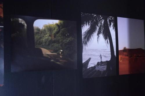 dsc-4034-copy Wystawa fotografii Heleny Kołton