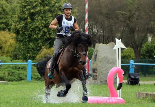 10-copy Hucuły na medal – emocjonujące kwalifikacje w Klikowskiej Ostoi- cz..1