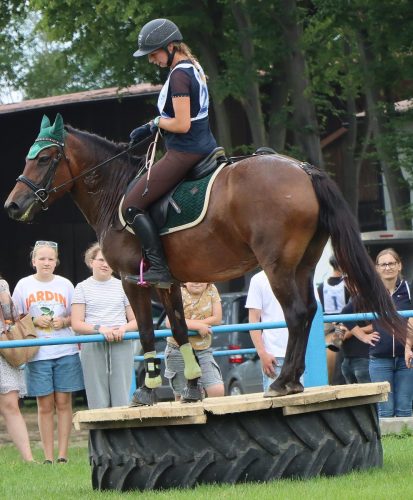 19-copy Hucuły na medal – emocjonujące kwalifikacje w Klikowskiej Ostoi- cz..1