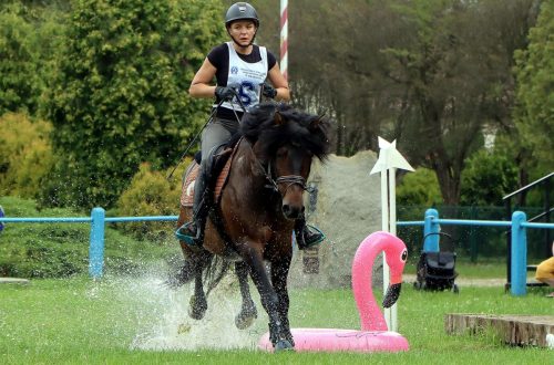 2-copy Hucuły na medal – emocjonujące kwalifikacje w Klikowskiej Ostoi- cz..1