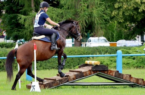 3-copy Hucuły na medal – emocjonujące kwalifikacje w Klikowskiej Ostoi- cz..1