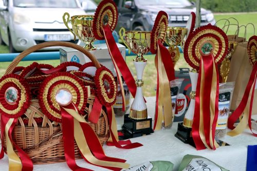 5b Hucuły na medal – emocjonujące kwalifikacje w Klikowskiej Ostoi- cz..1