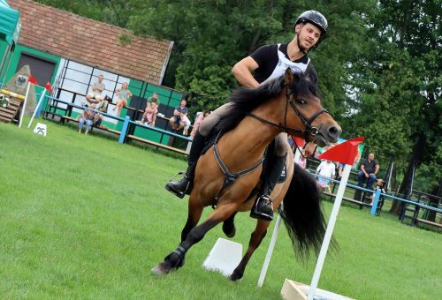 6-copy Hucuły na medal – emocjonujące kwalifikacje w Klikowskiej Ostoi- cz..1